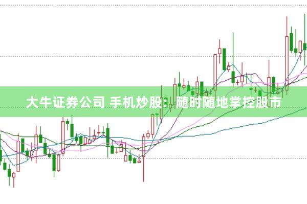 大牛证券公司 手机炒股：随时随地掌控股市