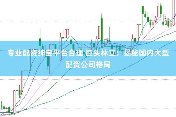 专业配资绅宝平台合理 巨头林立：揭秘国内大型配资公司格局