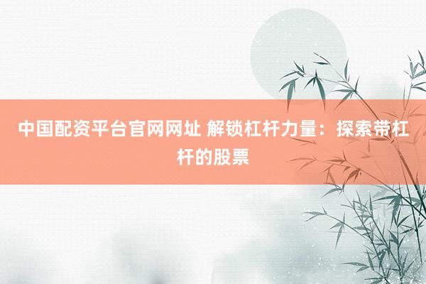中国配资平台官网网址 解锁杠杆力量：探索带杠杆的股票