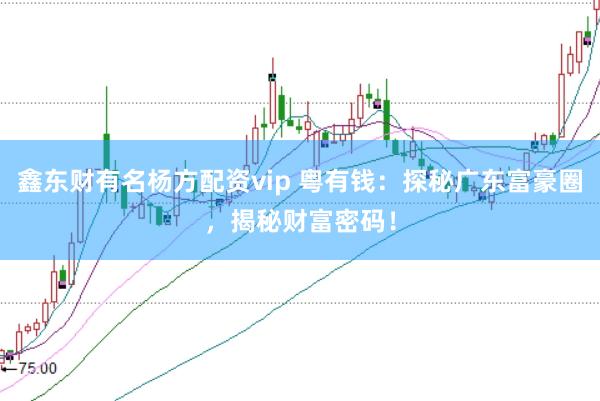 鑫东财有名杨方配资vip 粤有钱：探秘广东富豪圈，揭秘财富密码！