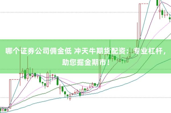 哪个证券公司佣金低 冲天牛期货配资：专业杠杆，助您掘金期市！