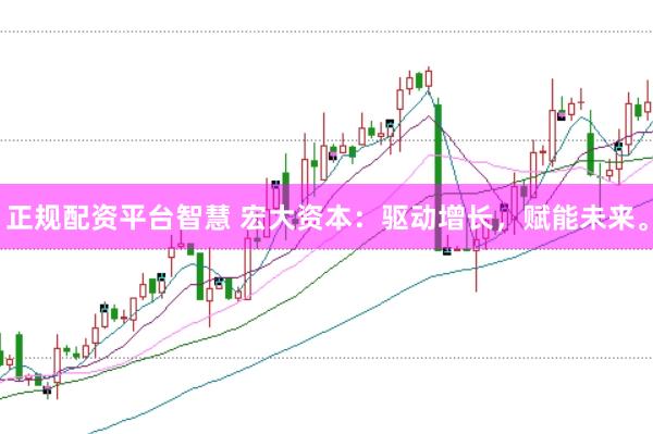 正规配资平台智慧 宏大资本：驱动增长，赋能未来。