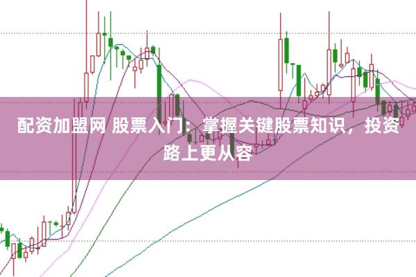 配资加盟网 股票入门：掌握关键股票知识，投资路上更从容
