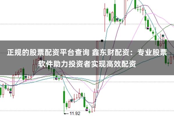 正规的股票配资平台查询 鑫东财配资：专业股票软件助力投资者实现高效配资