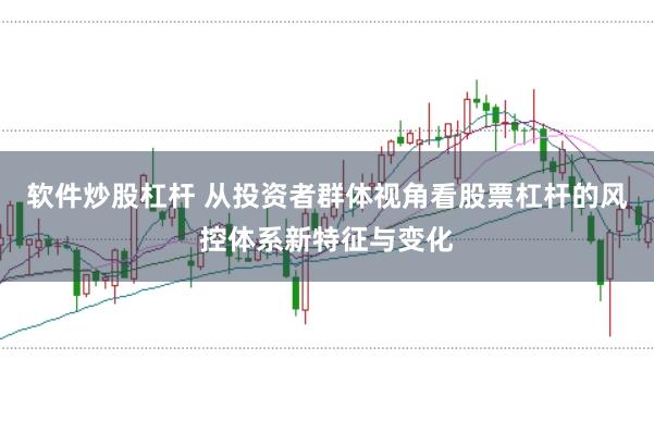 软件炒股杠杆 从投资者群体视角看股票杠杆的风控体系新特征与变化