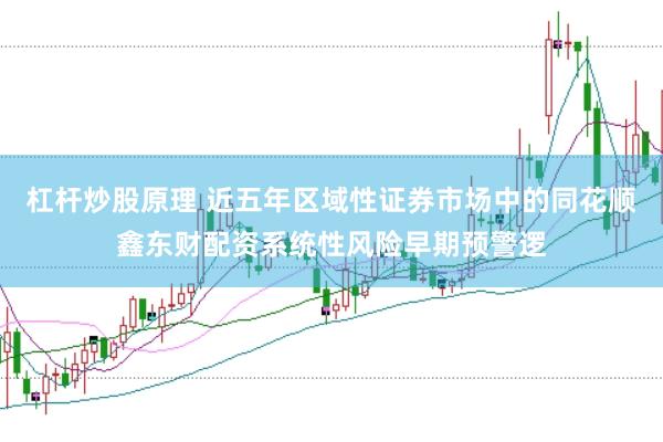 杠杆炒股原理 近五年区域性证券市场中的同花顺鑫东财配资系统性风险早期预警逻