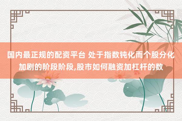 国内最正规的配资平台 处于指数钝化而个股分化加剧的阶段阶段,股市如何融资加杠杆的数