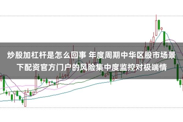 炒股加杠杆是怎么回事 年度周期中华区股市场景下配资官方门户的风险集中度监控对极端情