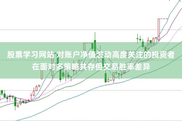 股票学习网站 对账户净值波动高度关注的投资者在面对多策略共存但交易胜率差异
