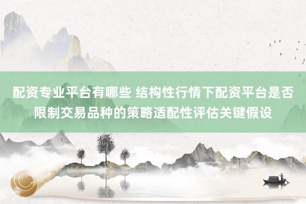 配资专业平台有哪些 结构性行情下配资平台是否限制交易品种的策略适配性评估关键假设