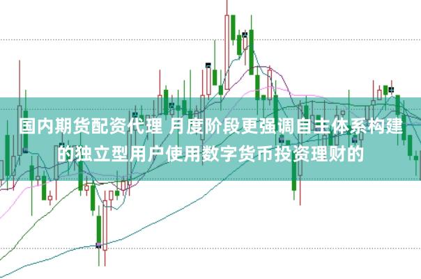国内期货配资代理 月度阶段更强调自主体系构建的独立型用户使用数字货币投资理财的