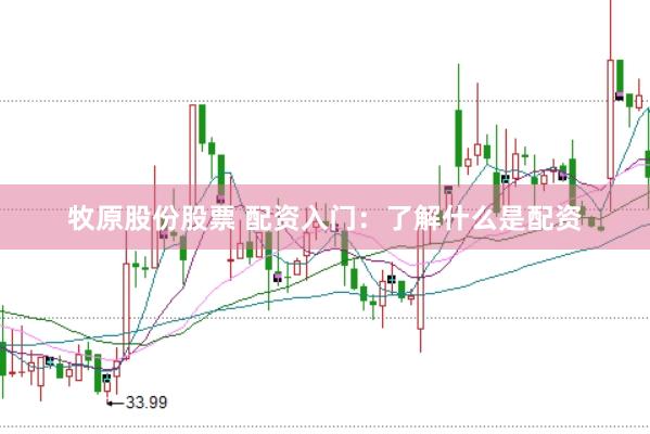 牧原股份股票 配资入门：了解什么是配资