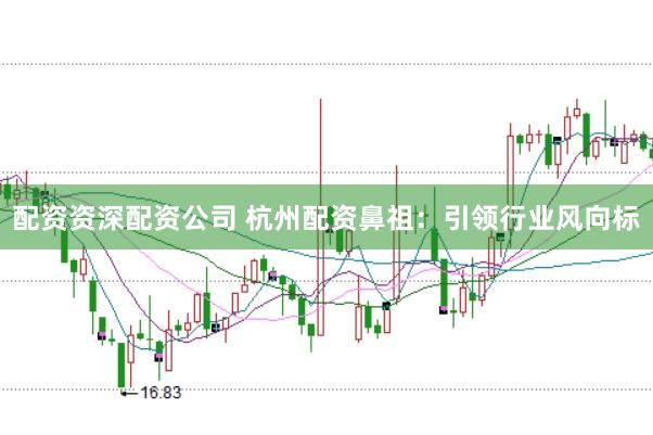 配资资深配资公司 杭州配资鼻祖：引领行业风向标