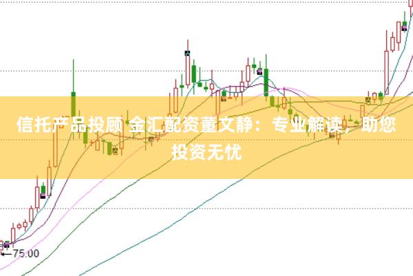 信托产品投顾 金汇配资董文静：专业解读，助您投资无忧