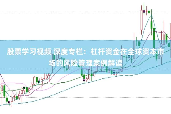 股票学习视频 深度专栏：杠杆资金在全球资本市场的风险管理案例解读
